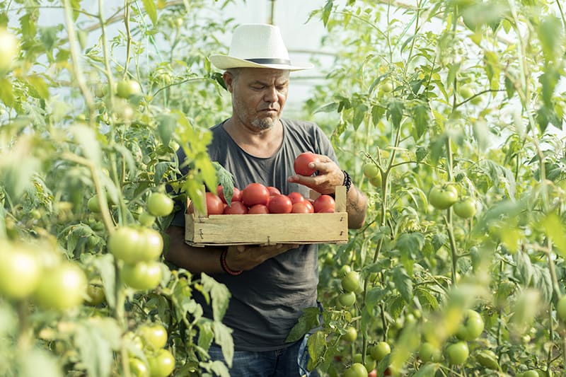 Farm hand, one of many agriculture second chance jobs